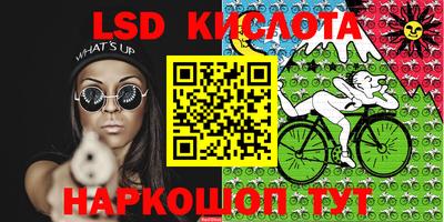 дживик Кимры
