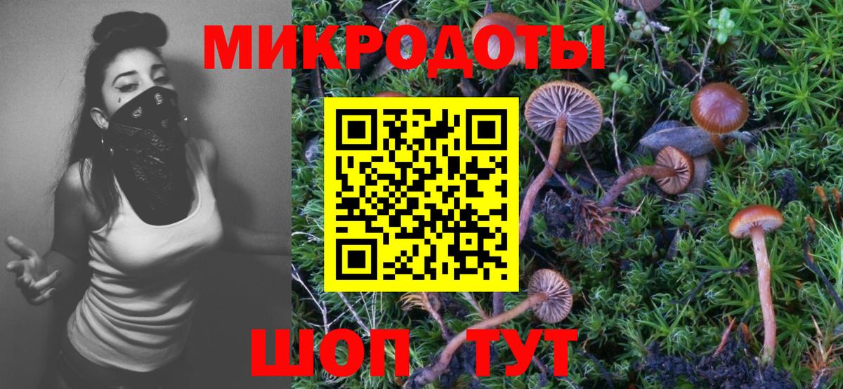 закладки  Галлюциногенные грибы прущие грибы  Вход с VPN  Кропоткин 